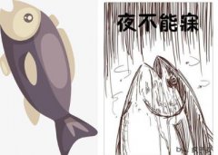 实名咸鱼账号购买有什么作用