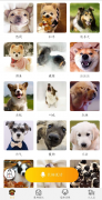 狗语<font color=