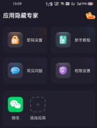 应用隐藏专家1.0