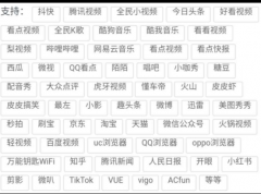 爱上去水印3.0支持上百个平台