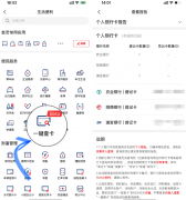 一键查询名下有多少张<font color=