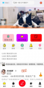 原创社区开源 <font color=