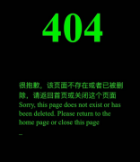 一款代码自动输入效果4